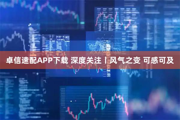 卓信速配APP下载 深度关注丨风气之变 可感可及