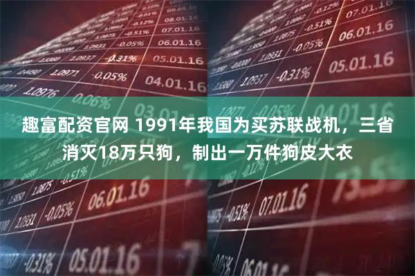 趣富配资官网 1991年我国为买苏联战机，三省消灭18万只狗，制出一万件狗皮大衣