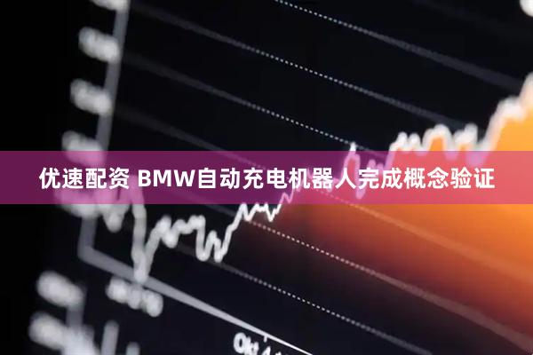 优速配资 BMW自动充电机器人完成概念验证